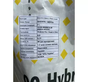 Озимий ріпак ШЕРПА NPZ-Lembke Озимий ріпак ШЕРПА NPZ-Lembke