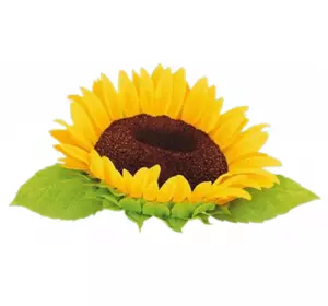 Семена подсолнуха Мегасан Лимагрейн Семена подсолнуха Мегасан Лимагрейн