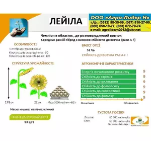Семена подсолнечника "Лейіла" ASP Семена подсолнечника "Лейіла" ASP