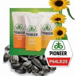 Насіння соняшника Піонер Насіння соняшника Піонер