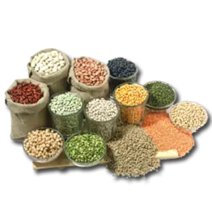 Бобові культури Бобові культури