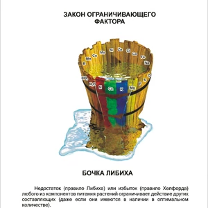 Позакорневе підживлення Позакорневе підживлення