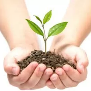 Засоби захисту рослин Засоби захисту рослин