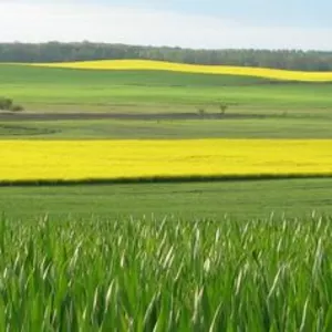 Добрива Добрива