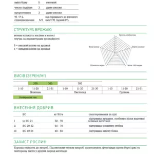 Семена Озимой Пшеницы Семена Озимой Пшеницы