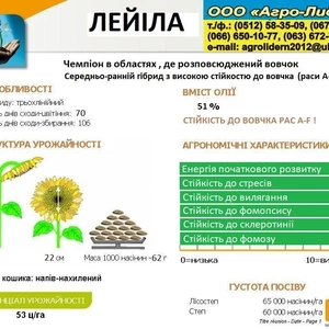 Семена Подсолнечника Семена Подсолнечника
