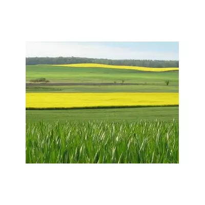 Микро-Минералис, РК (Цинк)