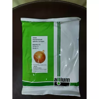 Насіння цибулі Делфис F1