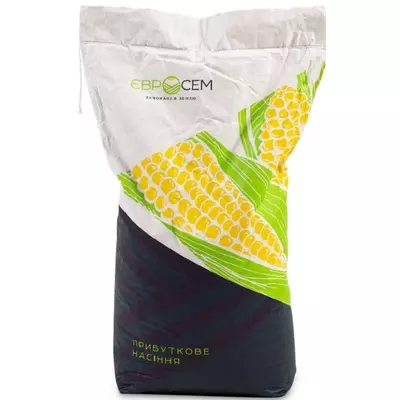 Насіння кукурудзи Орілскай Оптимум Євросем
