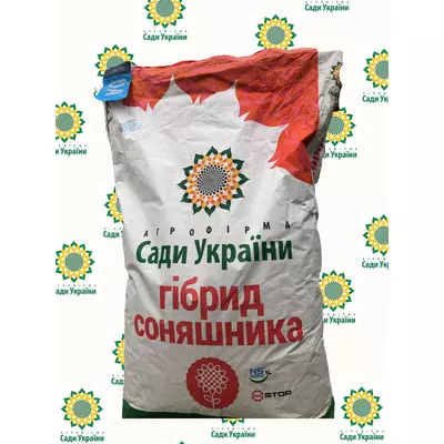 Насіння соняшника Гольфстрім Стандарт Сади України