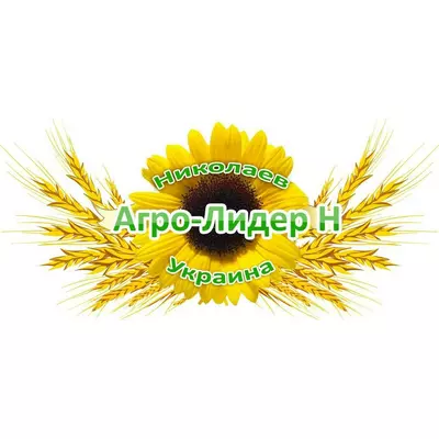 Насіння соняшника Вероніка Євраліс Семенс